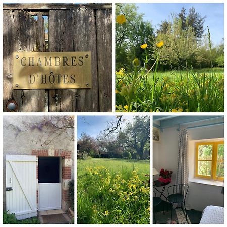 Chambres D'Hotes Les Renardieres Molineuf Exterior foto