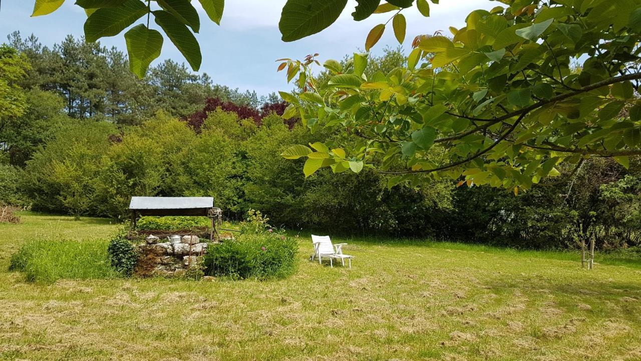 Chambres D'Hotes Les Renardieres Molineuf Exterior foto